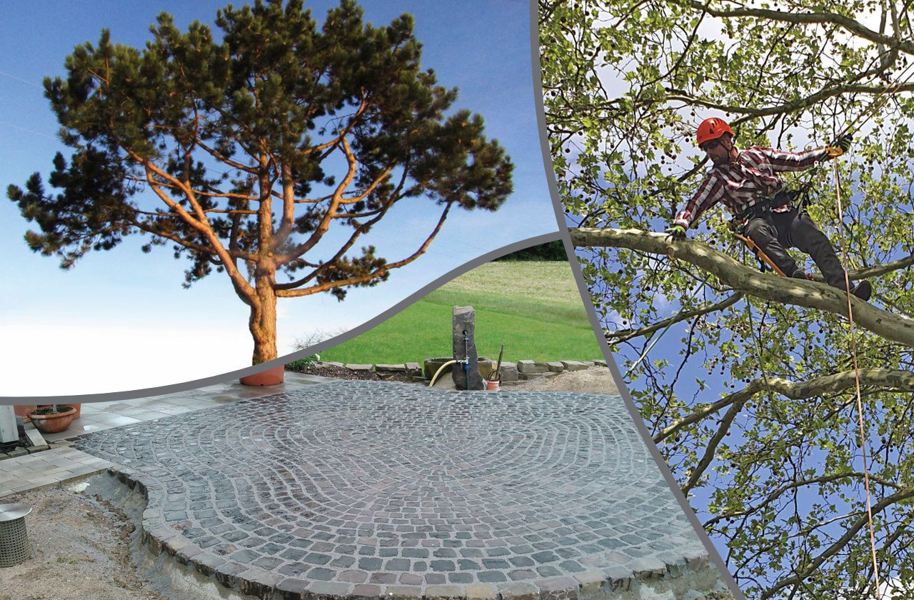 Landschaftsgestaltung, Baumpflege, Natursteinarbeiten, Königswinter, Asbach, Bonn, Siegburg
